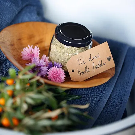 イン Stenbjerg & *