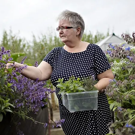 イン Stenbjerg & *