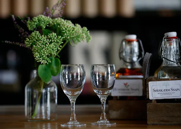 Fogadó Stenbjerg & Snedsted