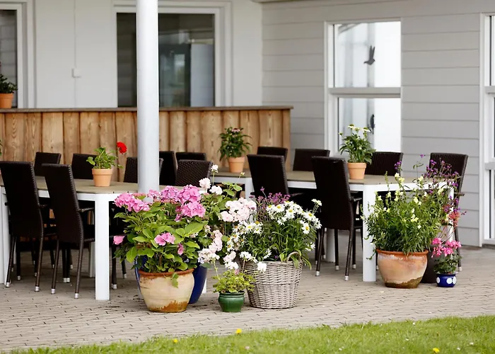 Stenbjerg & Snedsted