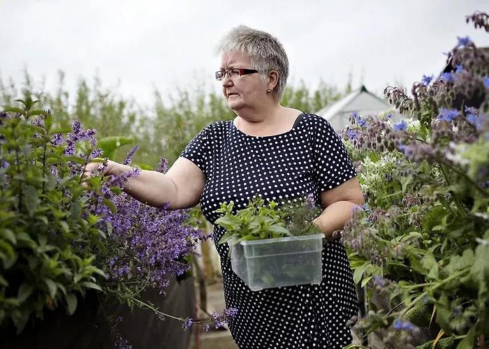 Fogadó Stenbjerg & *